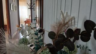 Villa MarHel Arbatax - 4