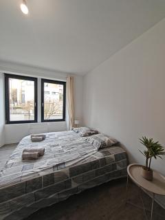 Le 15 - Beau T3 lumineux et confortable - Riedisheim - stationnement gratuit - Riedisheim - 5
