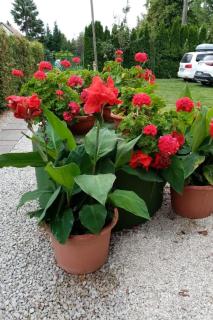 Apartment am See by Interhome - 7