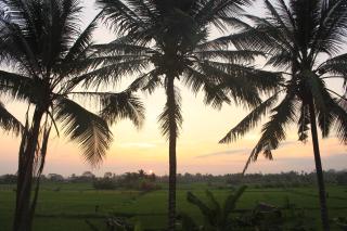Uma Capung Mas Cottage - 2