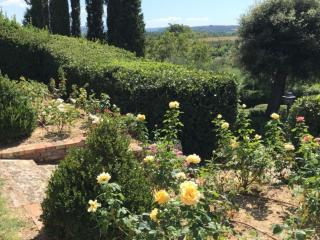 Apartment Wunderschöne Wohnung in Chiusi mit Panoramaterrasse by Interhome - 4