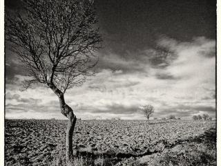 Apartment Il Melograno Panoramahaus by Interhome - 7