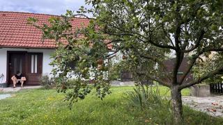 Cottage in Velenice village - 3