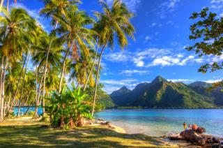 Tropical paradise near Taahiamanu beach - 0