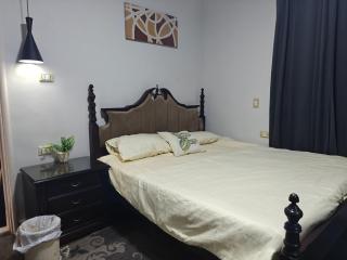 شقه فندقيه علي فندق انتركونتنتال سيتي ستارز امن 24 ساعه Hotel Apartment Overlooking InterContinental Citystars with Full Services Heart of Cairo Quiet, Private for Families24H Security - 1