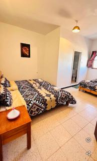 Djnane Elhwass timimoun - 1