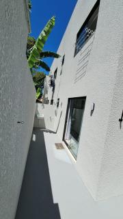 Studio Garden Campeche - 3