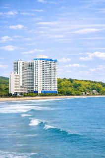 Yangyang Cohost Studio - 0