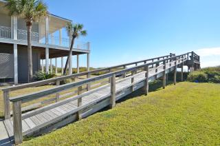 Beachfront Dolphin - 4