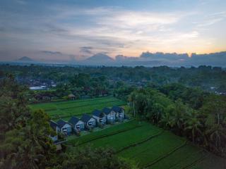 Ascarya Ubud - 8