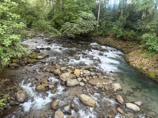 La casa de chelo - 8