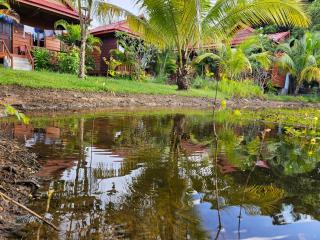 The Hidden Oasis Bungalows - 4