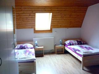 Ubytování nad Bisonem - Hlinsko - 5