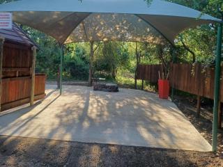 Sunbirds at Kruger - 8