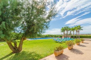 Torre Marina (Alga Marina) - Ses Covetes - 8