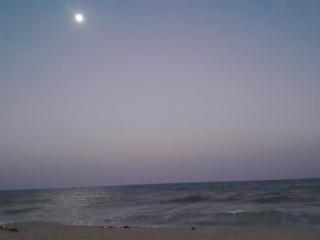 Beach Time Beach Resort - 9