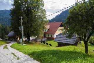Tourist farm Gradišnik - Solčava - 8