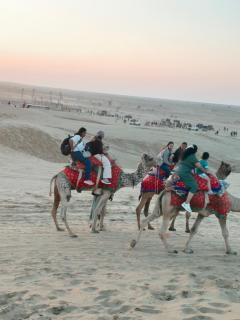 Hotel Elite Enclave Jaisalmer - 6