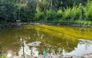 1 Bedroom Awesome Home In Rosporden - 5