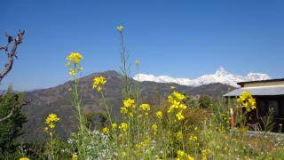 Nature Home Methlang - 5