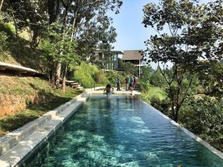 Stunning Mountain View Lodge with Pool Lauhaus2 - 1