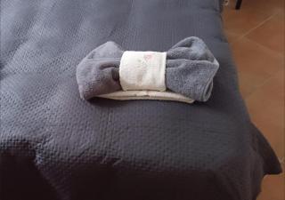 Sofia Sweet Home - 1