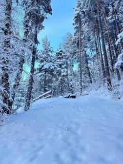 Refuge-style chalet Mountain view - Colmars - 8