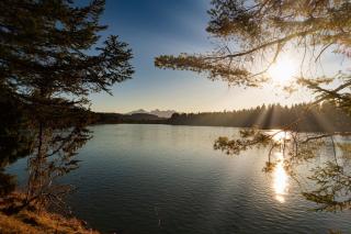 Ferienhaus Nr 106, Kategorie Premium DTV, Feriendorf Hochbergle, Allgäu - 6