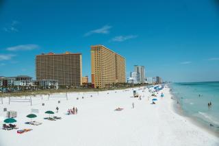 Celadon 1902 "Aloha No Ka Oi" - 7