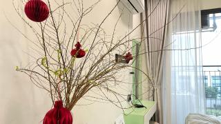 Cam Cam homestay Vinhomes Smart City - 5