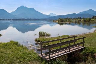 Ferienhaus Nr 125, Kategorie Economy, Feriendorf Hochbergle, Allgäu - 1