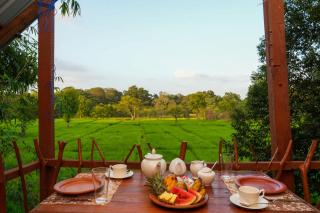 Comfort Treehouse Pidurangala - 0