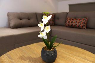 Banana Bay Residence - 7