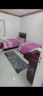 ميامي الاسكندريه - 3