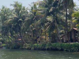 Sharvati Backwater Homestay - 9