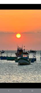 Hom Ba cây dừa - 5