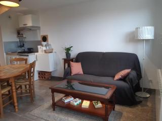 Gîte Volcans - 1-4 pers, au calme à 20 mins de Vulcania, Puy-de-Dôme et Lemptegy, 35 mins du Mont Dore et du Sancy - 8