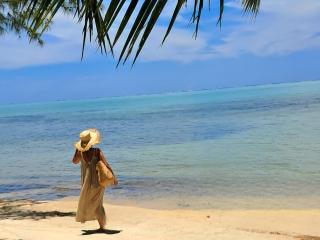 Piscine rien que pour vous, villa de plage entière face au lagon, les pieds dans l 'eau, cuisine équipée & wifi Le Boraha Beach Lodge 90 m2 - 8