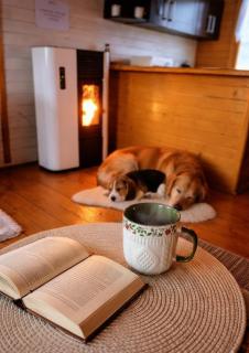 Chatka nad Stawami - 8