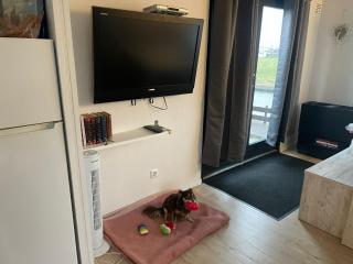 Apartment Chalet Welcome direkt am Wasser mit eigenem Steig by Interhome - 3