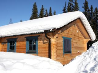 Holiday Home Gemütliches Blockhaus mit Kamin im Oviksfjäll by Interhome - 0
