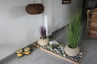 Campichuelo Suit's - 6