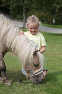 Great Trethew Manor Hotel & Restaurant - 6