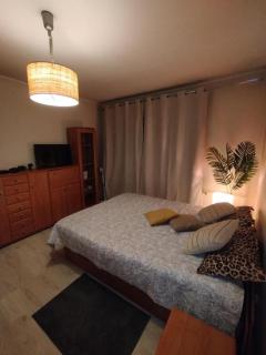 Apartament Manhattan Czechowice Dziedzice - 2