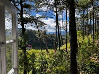 Sagada Forest Lodge - 9