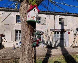 Gîte des oiseaux - 9