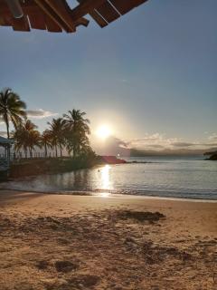 Ti Balisier - Magnifique appartement T5 en duplex - 7