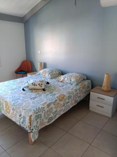 Ti Balisier - Magnifique appartement T5 en duplex - 4