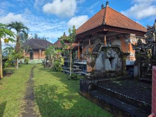 Villa Taman near Sidemen Bali - 3
