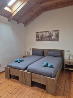 Escuelas de collía D - 4